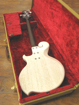 quinto Bass 003 back body