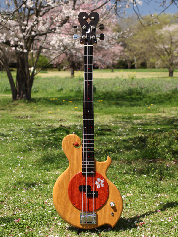 SemiAcoustic Bass